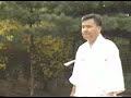 Taekkyon - chutes
