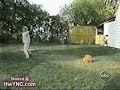 Sport bloopers