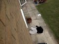 Horrific Bungee Jump Accident