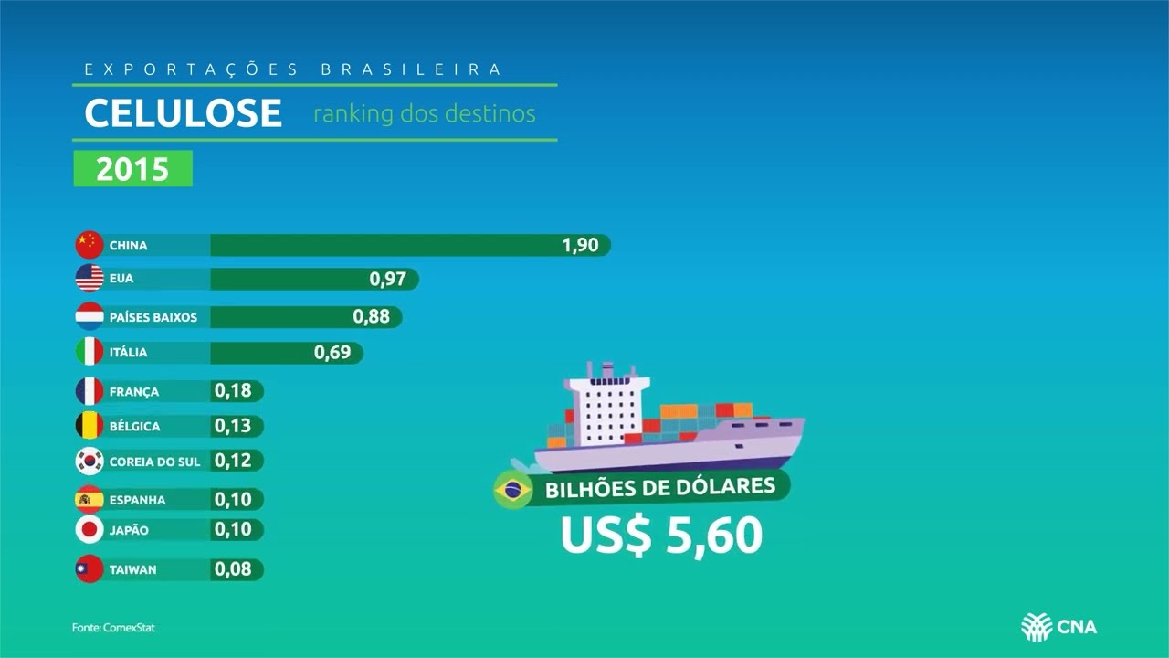 Celulose Brasileira: Um Mercado em Expansão