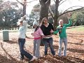 throwing leaves