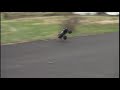 6s brushless erevo sand rail 5b
