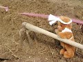 http://www.e-toko.com/畑を耕す作業から、無農薬野菜が食卓に上るまでFrom cultivating to eating