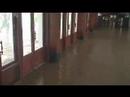 Hue Flood 2007 Hue Flood 2007