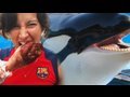Girl Eats Shamu?! (8.6.09 - Day 98)