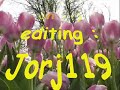 Thumbnail #3