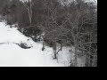 Stowe - Mad River Glen Stowe - Mad River Glen