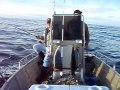 June 5, 2011 Point St. Gerorge Reef 1