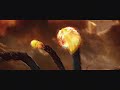 ミュー動画