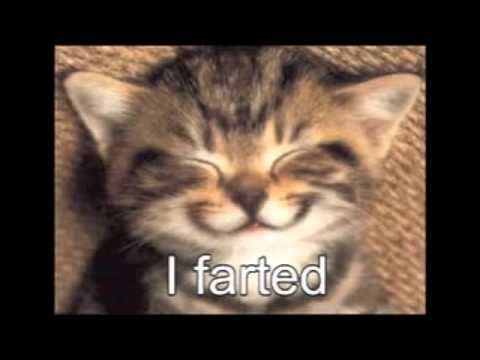 Try Not to Laugh Or Grin While Watching This