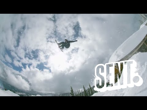 動画