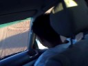 DESERT SAFARI TOUR IN UAE.AVI
