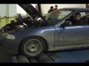 DYNO day by ERC (mix)