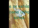 xoaniña