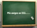 mis amigos ICEL