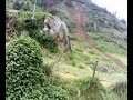 Ooty flood relief