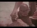Godzilla Shogun Warrior
