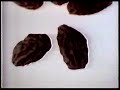 Rasin Nut Bran cereal commercial