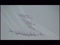 Canadian Snowbirds