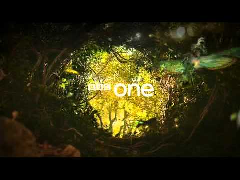 BBC ONE Magic Forest Trail See video