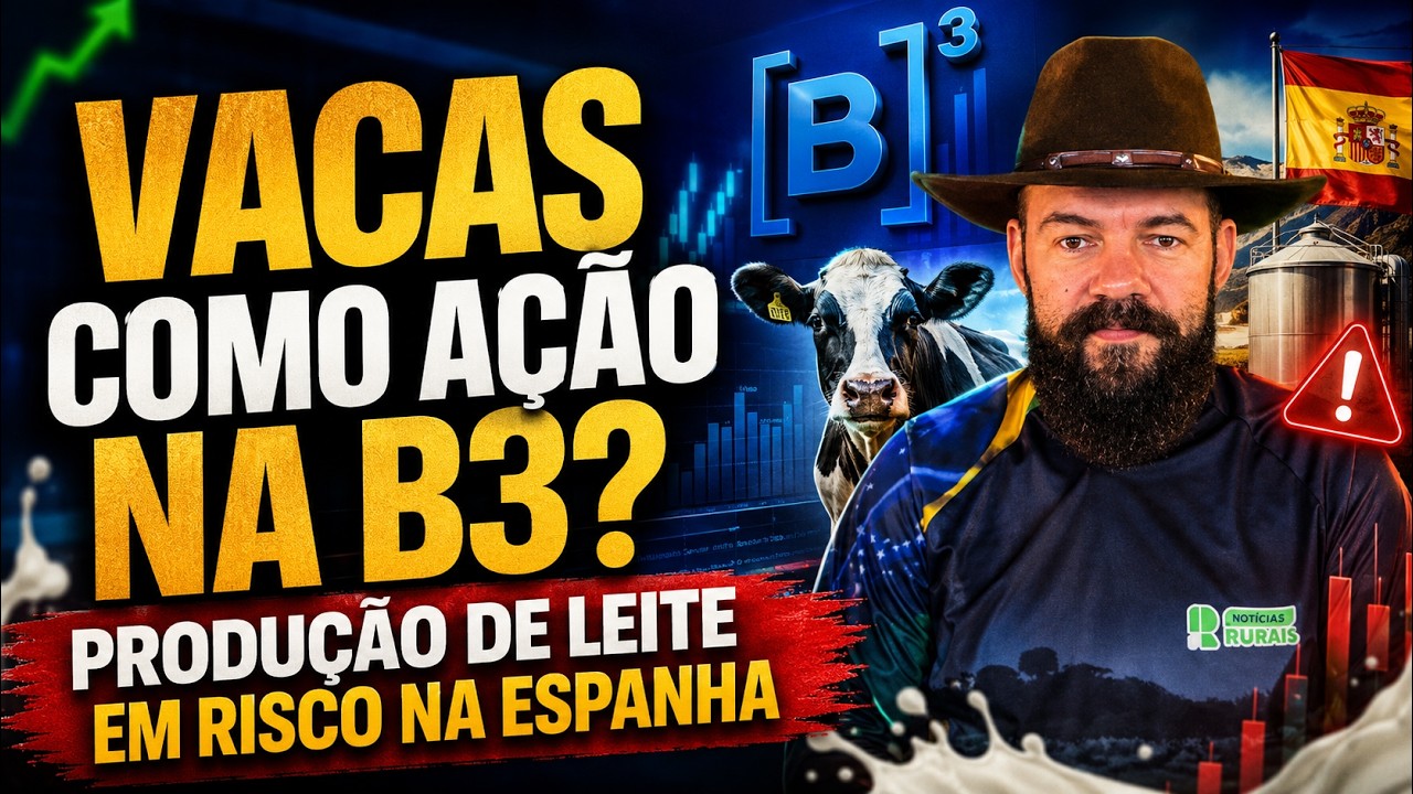 Vacas como ação na B3? Produção de leite em risco na Espanha.