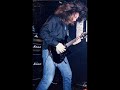Slaughter-Disintegrator/Incinerator