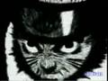 Soniconefan's OLD intro