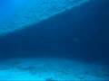 Video sous-marine