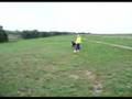 Basenji video