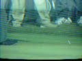 Phil Mickelson hitting down with a driver Phil Mickelson hitting down with a driver