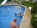 Grandpa's pool party 2008