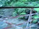 Shetye's Outing at National Park