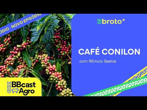 Café conilon: pressão externa, produção 2026 e ajustes de preços | BBcast Agro - 22/04/2026