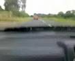 pudgeys glanza and colins redtop