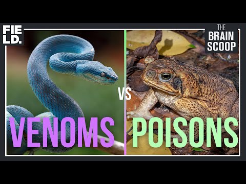 Venoms VS. Poisons