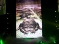 Miley cyrus- live in manchester- 28.12.2009- Fly on the wall