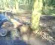 muxton woods jumps