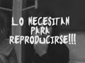 La Isla de las Mujeres Indispuestas