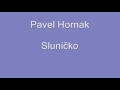 Sluníčko - Pavel Horňák