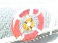 The Ferry Ride 1