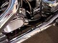 1993 Harley Davidson FLSTC Soft Tail 2/3