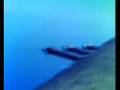 videos de 1945 Thunderbolt: From France to Germany