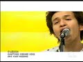 CAPTAIN HEDGE HOG - LEMON CAPTAIN HEDGE HOG - LEMON