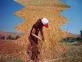 emlek sarkisla basagac koyu 2 emlek sarkisla basagac koyu 2