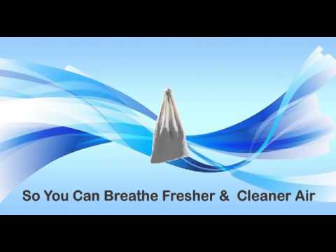 how to get rid dead rat smell