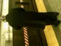 Man Sings Erasure Song in on 7 Platform 9AM