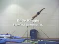 Old Gymnastics by shain78 !