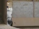 �quitation avec mes deux choupettes