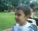 augusto animales