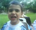 augusto animales
